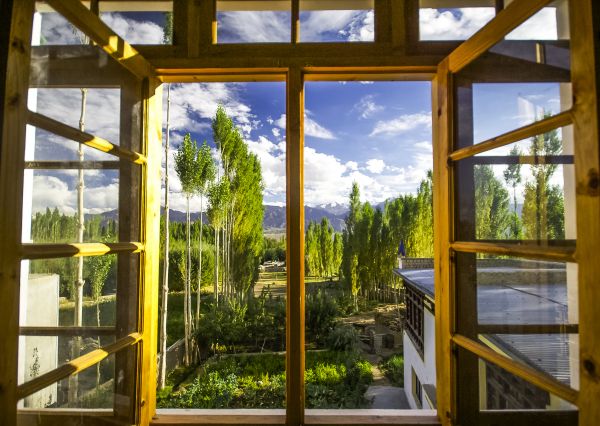 Wood Window Replacement in Sun City Center
